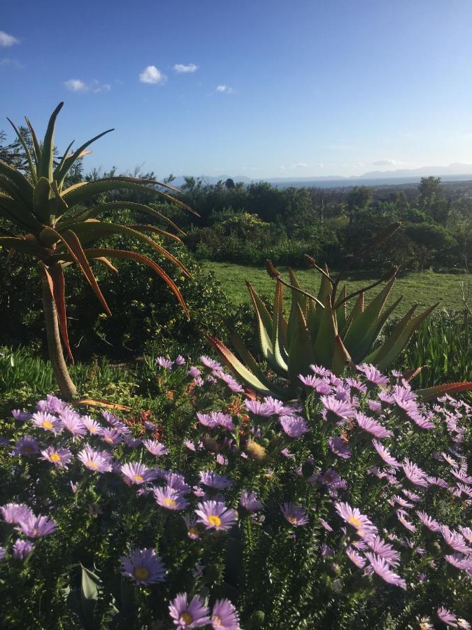 Watermill Studios Gordons Bay Luaran gambar