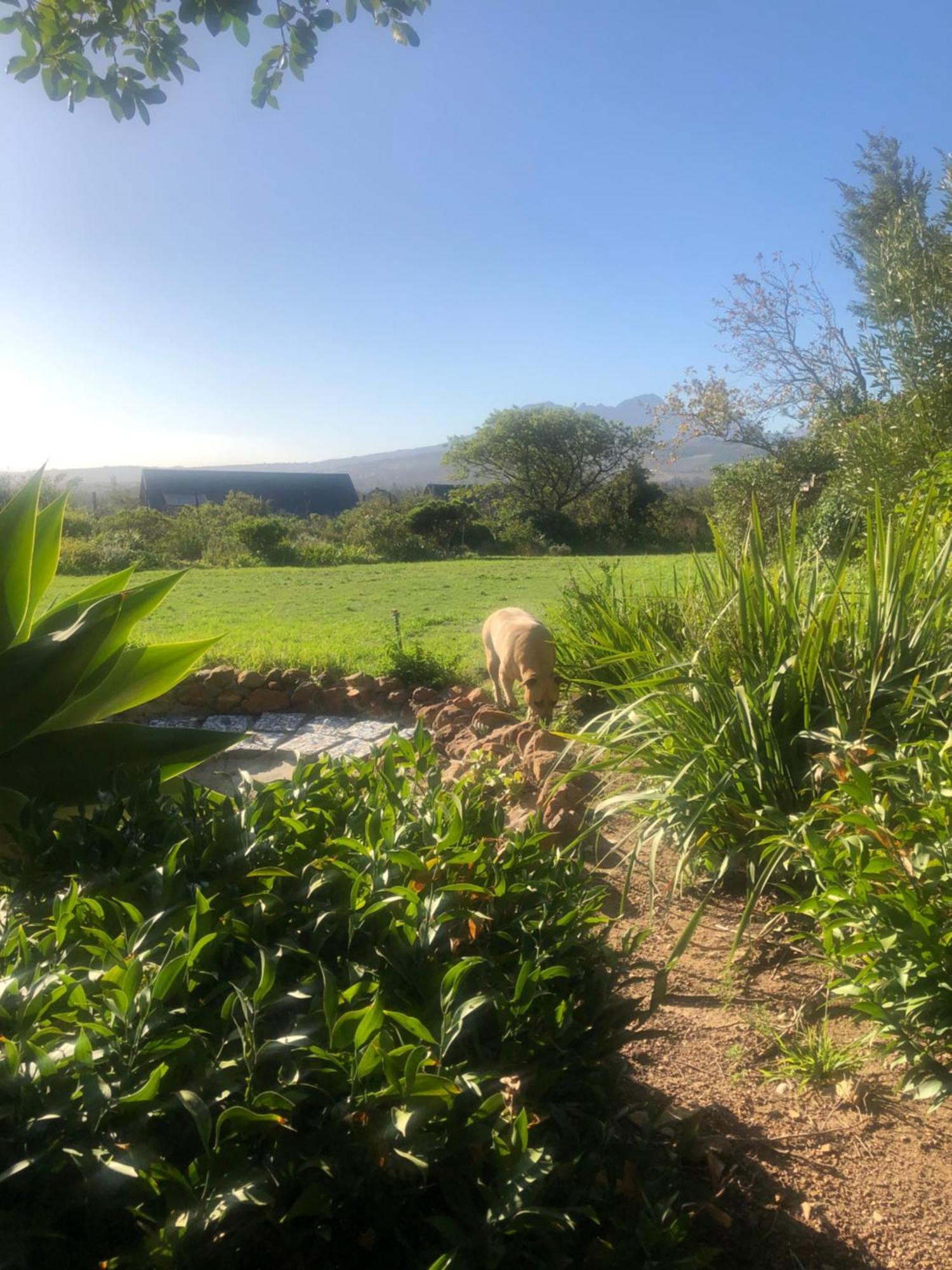 Watermill Studios Gordons Bay Luaran gambar